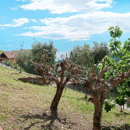 Holiday Home Ludovica By Interhome Soldano Dış mekan fotoğraf